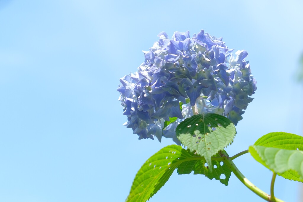 散歩の途中で。