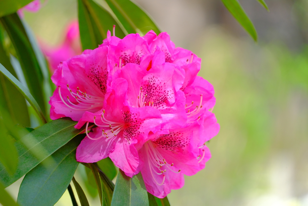 散歩の途中で。2