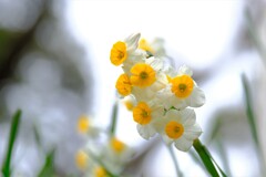 散歩の途中で。Ⅰ