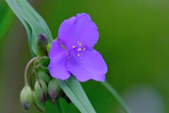 散歩の途中で。Ⅱ