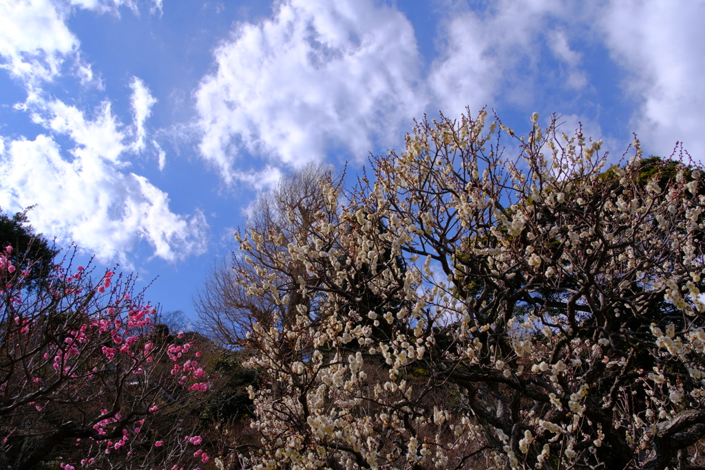 散歩の途中で。Ⅶ