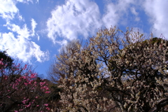 散歩の途中で。Ⅶ