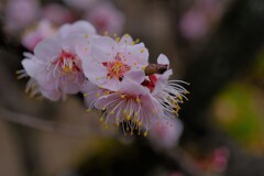 散歩の途中で。⑤