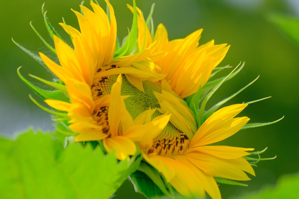 散歩の途中で。