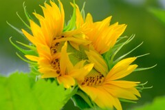 散歩の途中で。