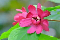 散歩の途中で。Ⅰ