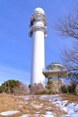 散歩の途中で。③