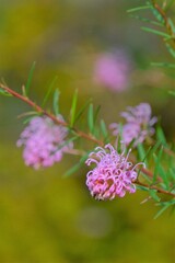 散歩の途中で。⑦