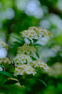 散歩の途中で。1