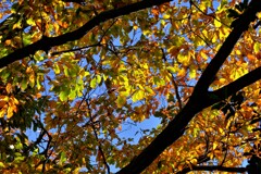 散歩の途中で。Ⅴ