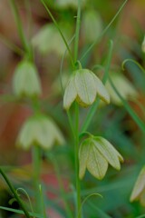 散歩の途中で。⑦
