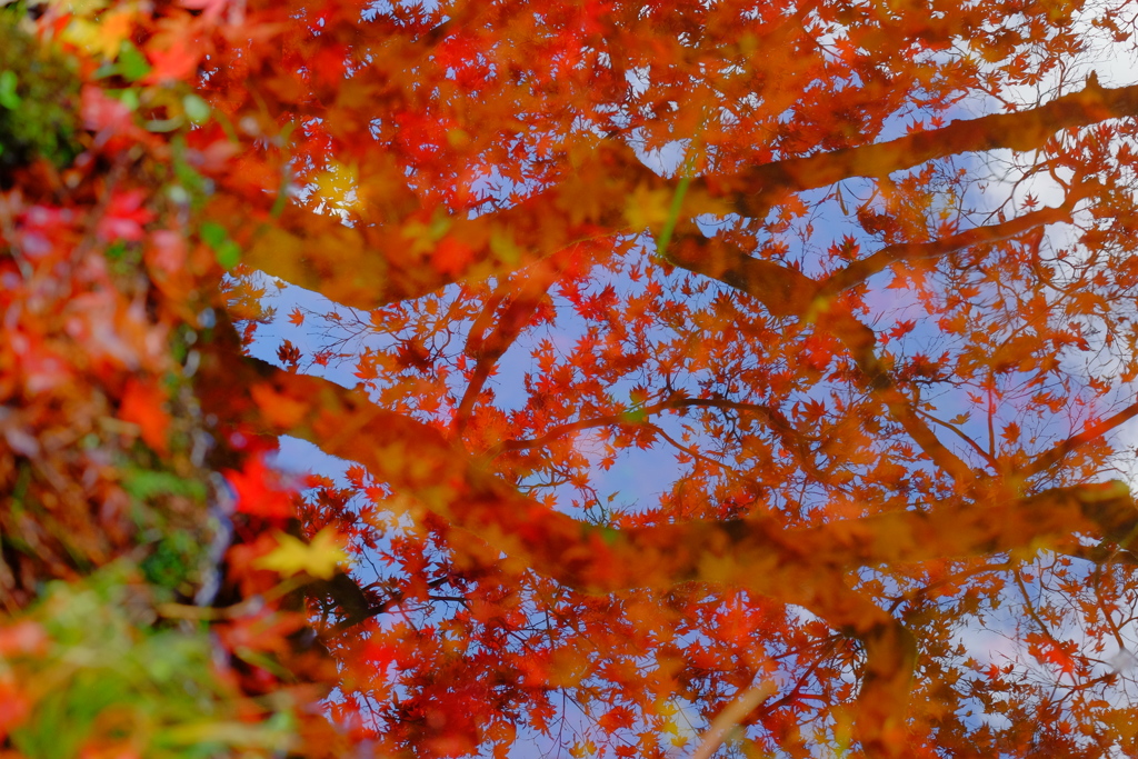 散歩の途中で　遠出　６