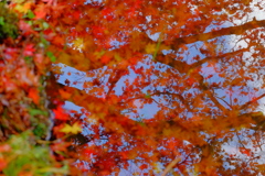 散歩の途中で　遠出　６