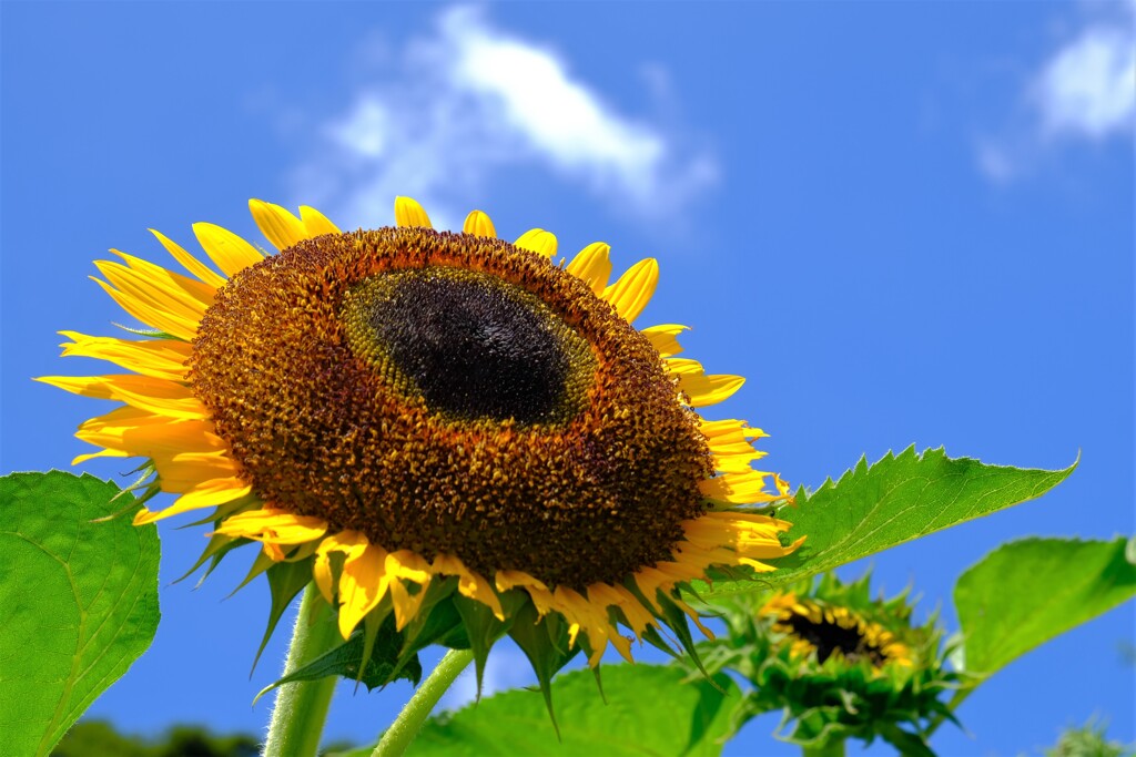 散歩の途中で。Ⅰ