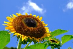 散歩の途中で。Ⅰ