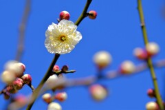 散歩の途中で。３