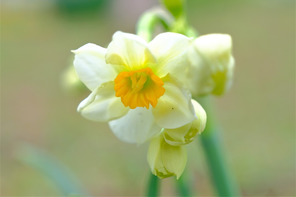 散歩の途中で。Ⅵ