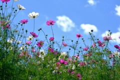 散歩の途中で。１