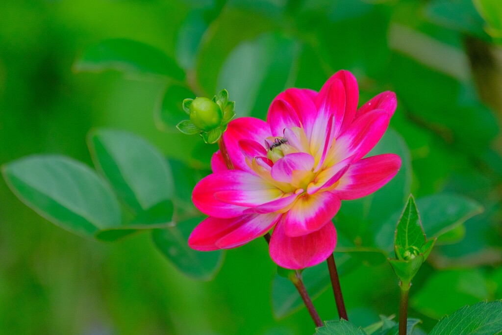 散歩の途中で。