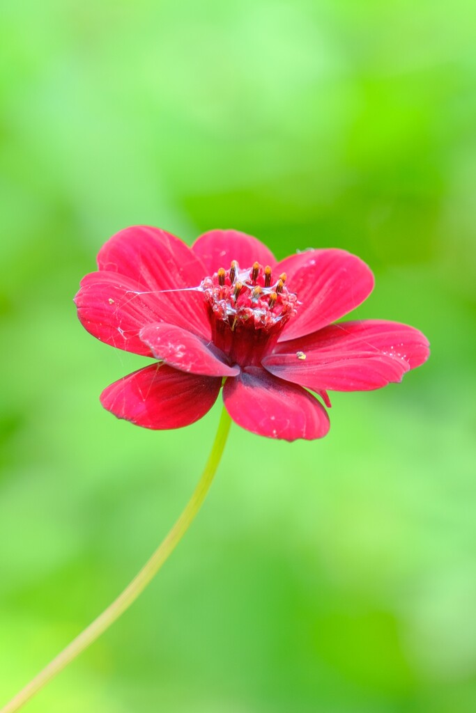 散歩の途中で。8