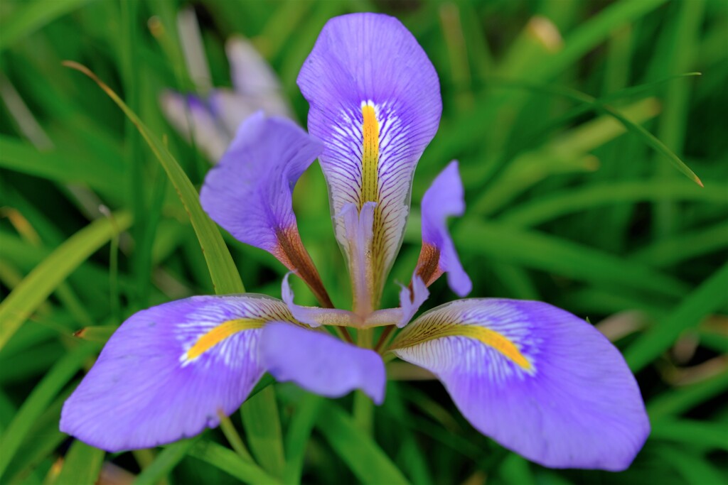 散歩の途中で。Ⅵ