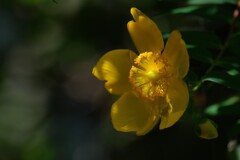 散歩の途中で。