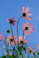 散歩の途中で。３