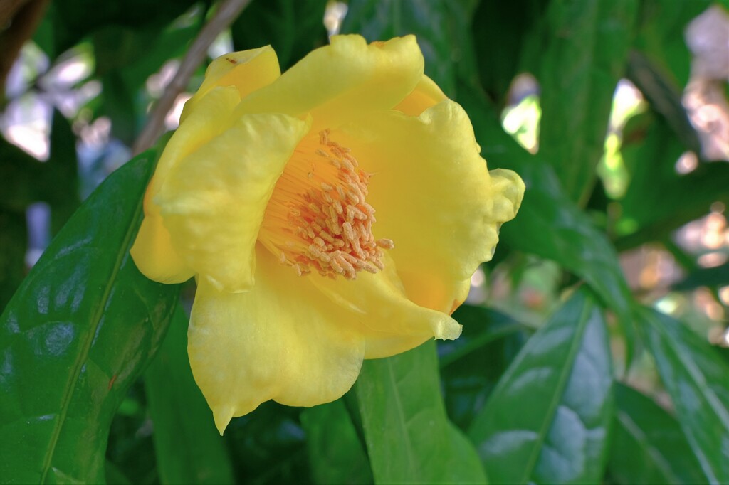 散歩の途中で。Ⅴ