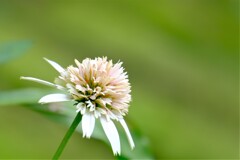 散歩の途中で。Ⅲ