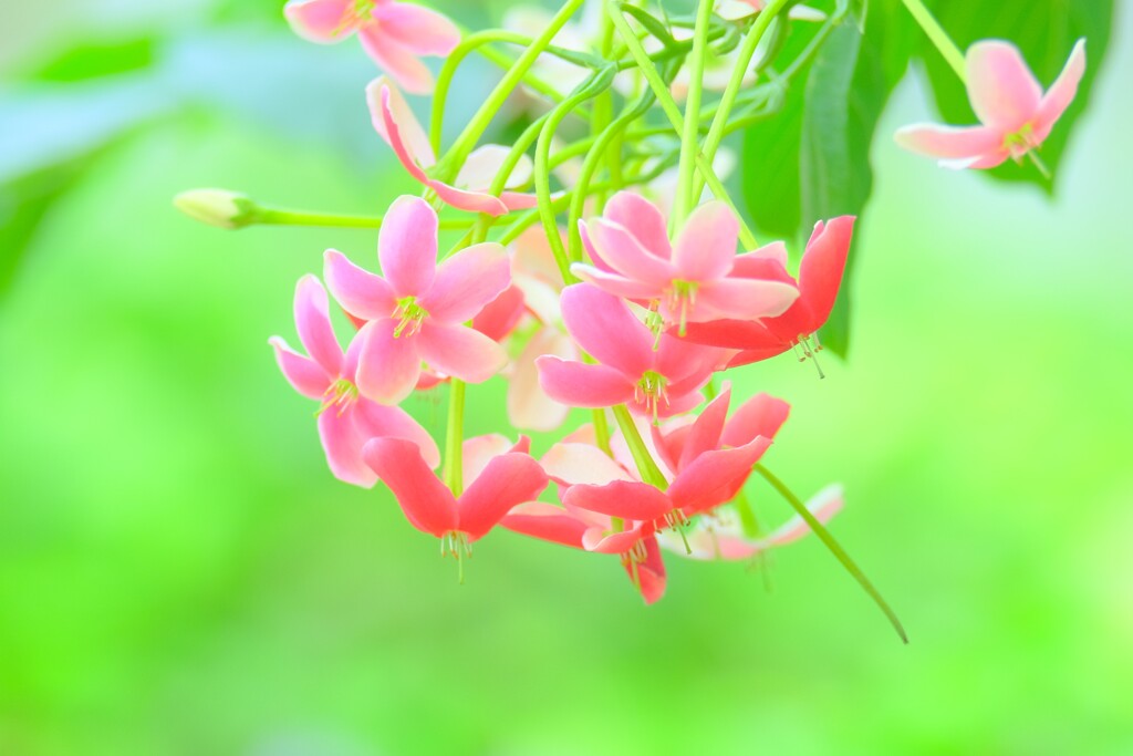 散歩の途中で。