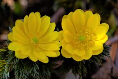 散歩の途中で。3