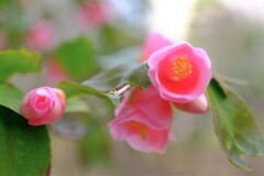 散歩の途中で。Ⅱ