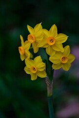 散歩の途中で。⑦