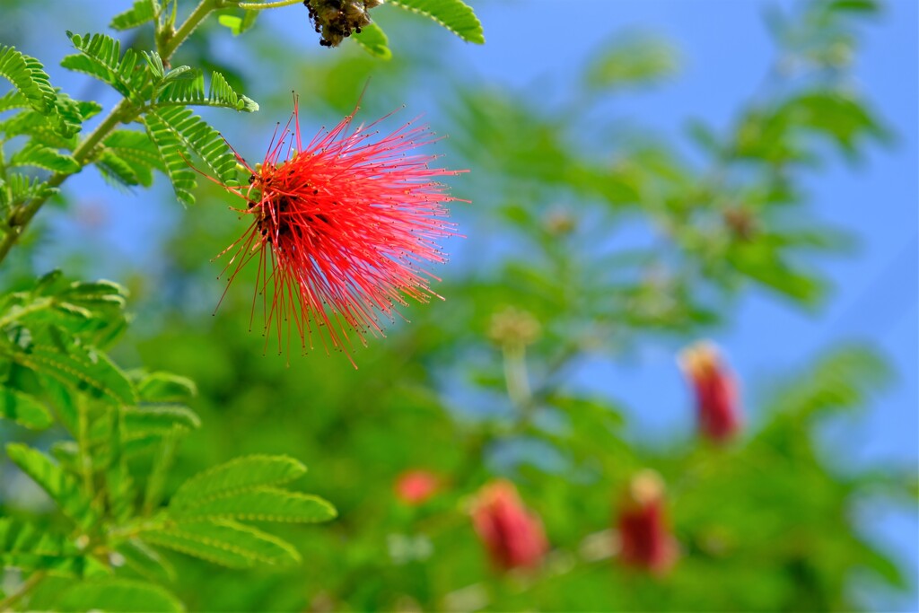 散歩の途中で。③