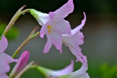 散歩の途中で。１