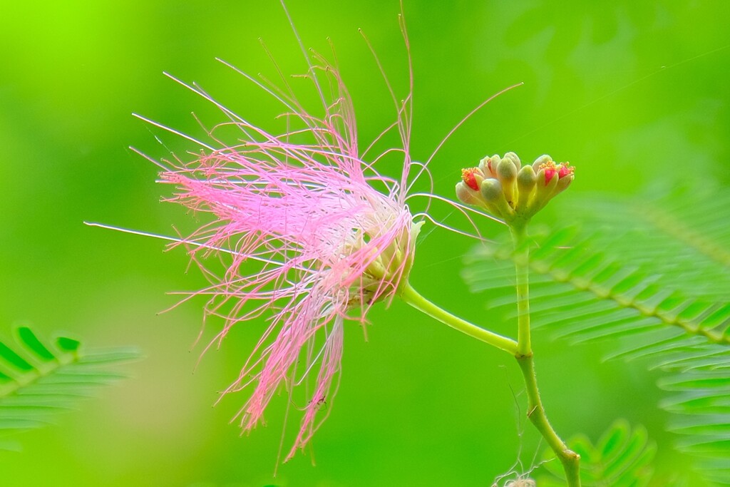 散歩の途中で。