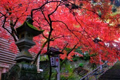 散歩の途中で。遠出①　