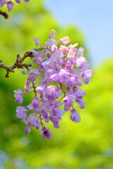 散歩の途中で。Ⅱ