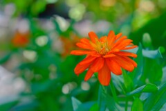 散歩の途中で。⑤