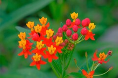 散歩の途中で。Ⅲ