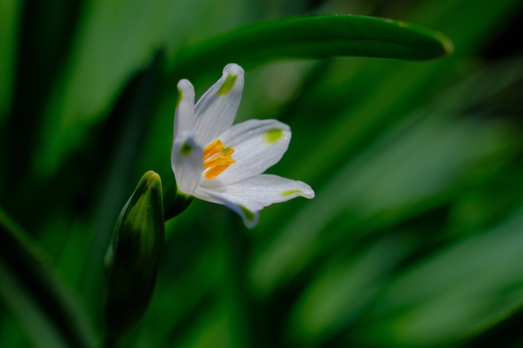 散歩の途中で。②