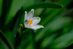 散歩の途中で。②