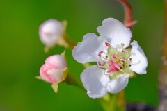 散歩の途中で。3