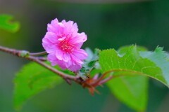 散歩の途中で。１