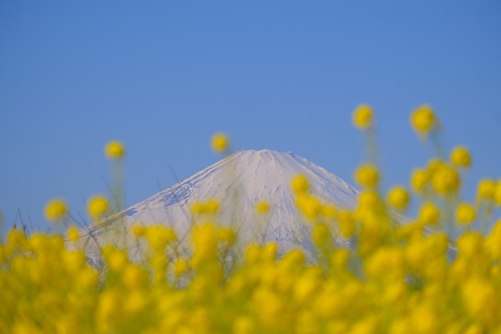 散歩の途中で。３