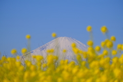 散歩の途中で。３