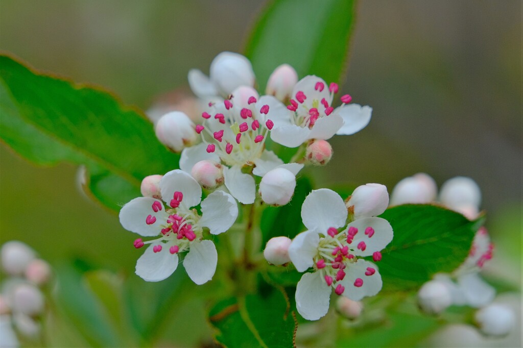 散歩の途中で。⑨