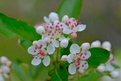 散歩の途中で。⑨