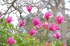 散歩の途中で。Ⅹ