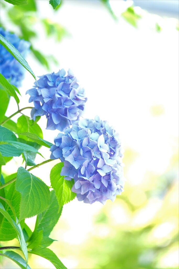 散歩の途中で。